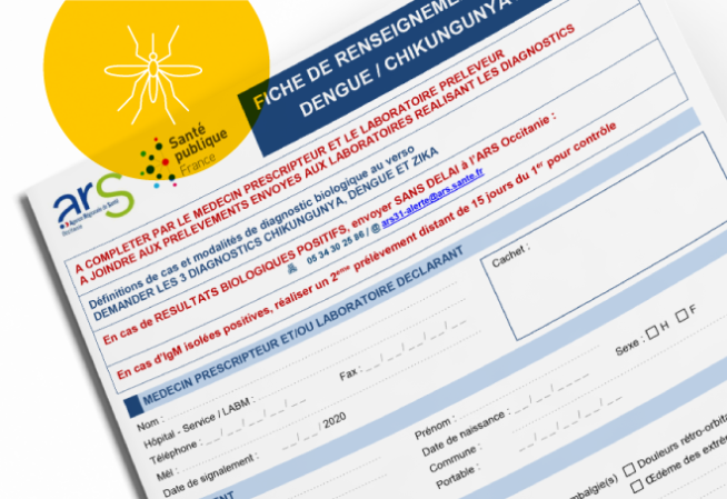 Fiche de signalement Moustrique Tigre