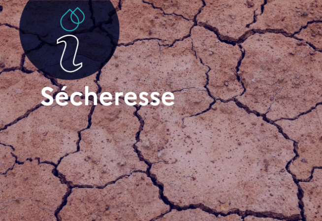 Sécheresse