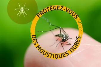 Protégez-vous des moustiques tigres