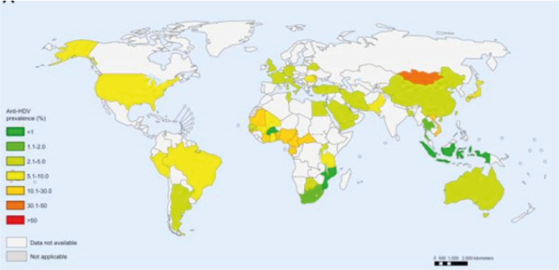 Cartographie Estimation par pays de la prévalence de l’anti-HDV chez les personnes séropositives au HBsAg
