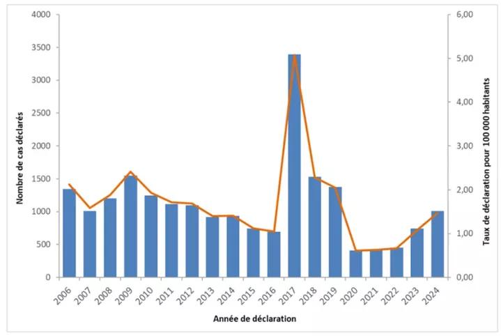Nombre de cas et taux de signalement annuel pour 100 000 habitants, signalement obligatoire d’hépatite aiguë A, France entière, 2006-2024